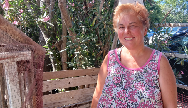 Denize giren kazlar CİMER'e şikayet edildi, kümese kapatılınca 8'i öldü