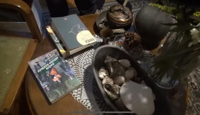 Türk Tabipleri Birliği Başkanı Fincancı'nın gözaltına alınma görüntüleri ortaya çıktı