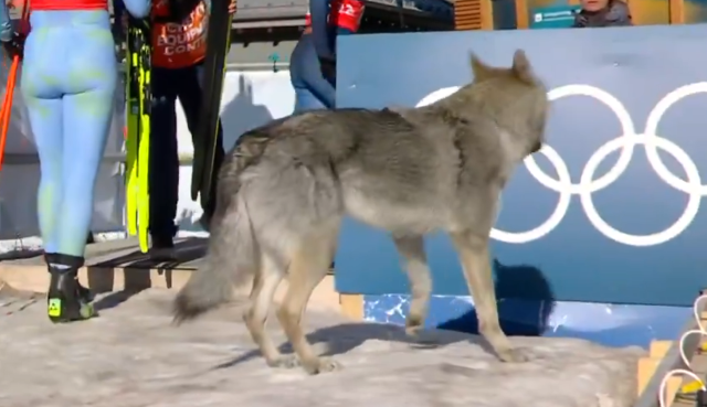 Dev organizasyonun önüne geçen görüntü