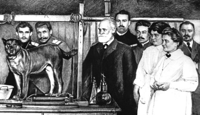 Köpekler ezan okunurken neden ulur ve havlar?