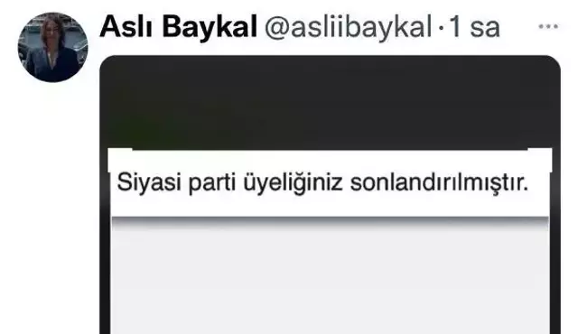 Aslı Baykal, CHP'den istifa etti