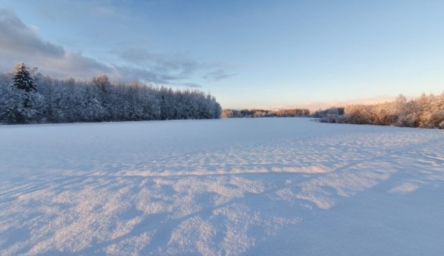 Muş okullar tatil mi, 9 Ocak Cuma Muş'ta okul yok mu (MUŞ VALİLİĞİ - KAR TATİLİ)?