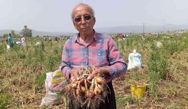 Satamadığı soğanı bedava yapınca 3 bin kişi tarlaya akın etti