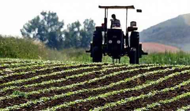 Hangi tarım arazileri kiraya verilecek? Tarım arazisi kiralama sezonu hangi tarih, başvurular ne zaman başlıyor?