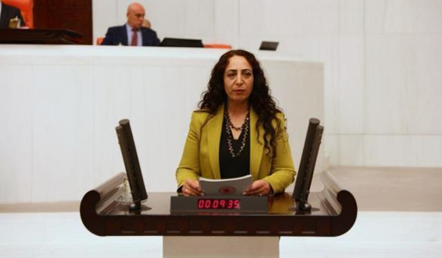 Bakan Soylu: Teröristin cenazesine katılmak isteyen HDP'li Orhan'a izin verilmedi