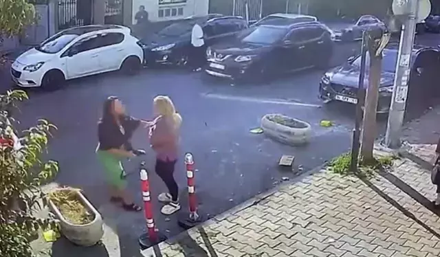 Kedisinin tıraşını beğenmeyen kadın, veterinere saldırdı