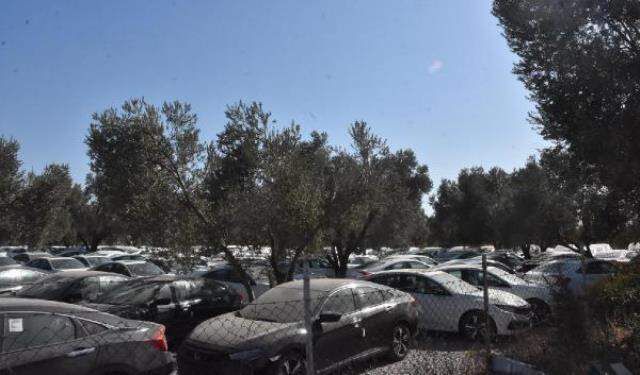 Bakan Muş, araç satışlarıyla ilgili canlı yayında açıklamalarda bulundu: Gerekirse mevzuatı değiştiririz