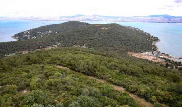 İstanbul'da ormana giriş yasağı var mı, ne zaman başlıyor 2024? İstanbul'da hangi ormanlara giriş yasağı var?