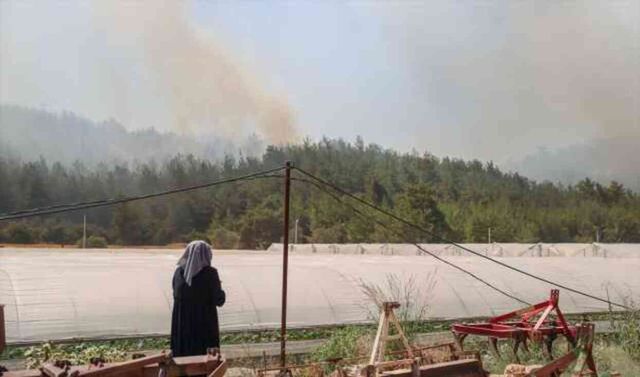 İzmir'de ormanlık alanda çıkan yangın büyüdü! Bazı evler tahliye edildi