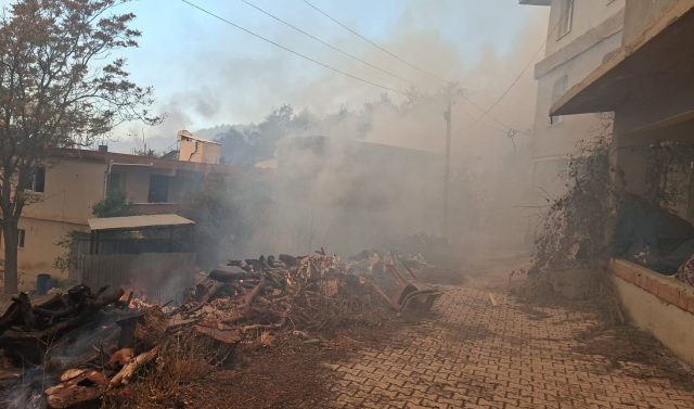 Hatay da yangın felaketini yaşıyor! Vatandaşların çığlıkları kulakları sağır etti