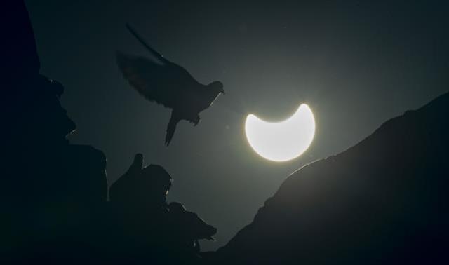 Merakla beklenen güneş tutulması gerçekleşti! İşte doğa mucizesinden çok güzel kesitler