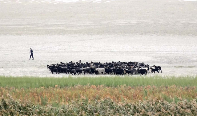 Böylesi ilk defa görülüyor! Göl ikiye bölündü