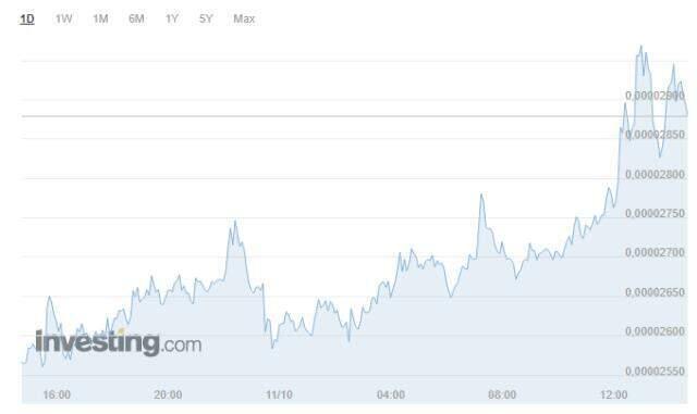 Shiba Coin (SHIBA INU) yükseliyor mu? Shiba Coin geleceği ne olur? Shiba Coin ne kadar? Shiba Coin grafiği!