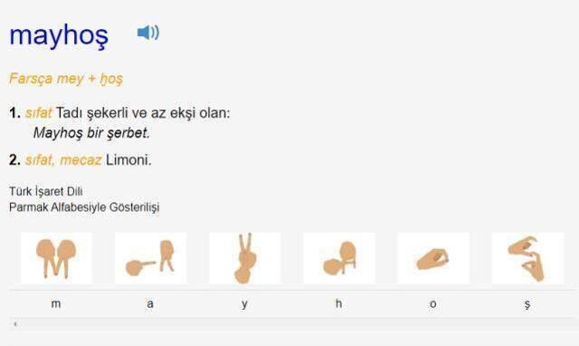 Mayhoş ne demek? TDK'ya göre mayhoş nedir, ne anlama geliyor?