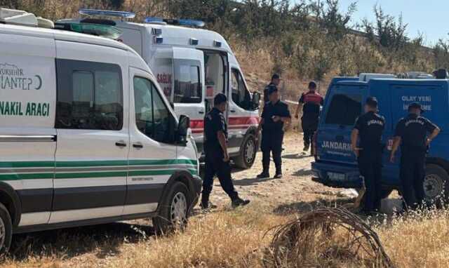 Gaziantep'de bir arazide köpekler tarafından parçalanmış bebek cesedi bulundu