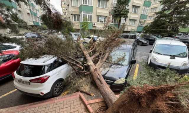 Bugün okullar tatil mi? 27 Kasım İstanbul, Bursa, Kocaeli, Sakarya okul var mı, yok mu?