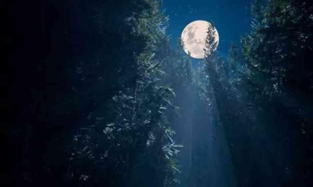 DOLUNAY NE ZAMAN? Haziran 2024 Dolunayı ne zaman, saat kaçta? Dolunay hangi burçta?