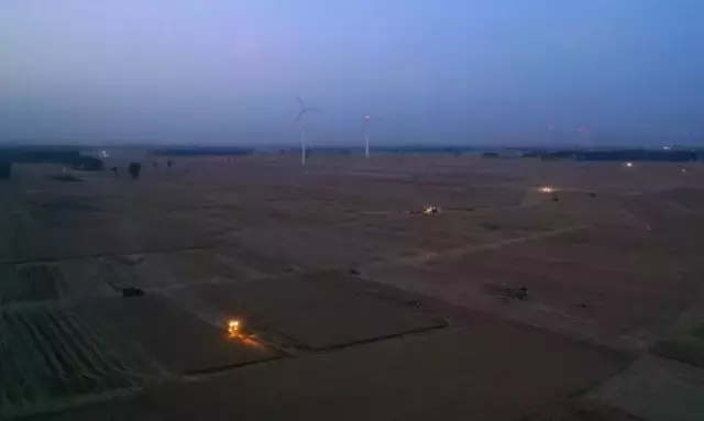 Çin'in Henan Eyaletinde Buğday Hasadı Tamamlanmak Üzere