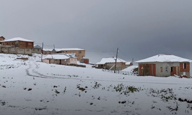 Üç ilimize temmuz ayında lapa lapa kar yağdı