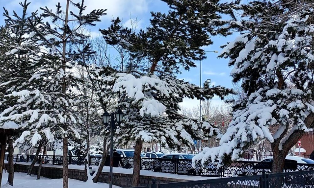Sibirya soğukları birçok ilde hayatı durma noktasına getirdi! Saçlar, kirpikler, çamaşırlar dakikalar içinde donuyor