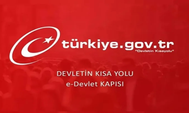 E Devlet çöktü mü, E Devlet sorun mu var, neden giriş yapamıyorum?