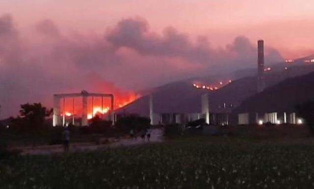 Milas'taki yangın termik santrale ulaşırsa patlama meydana gelir mi? Yetkili isim ihtimalleri tek tek değerlendirdi
