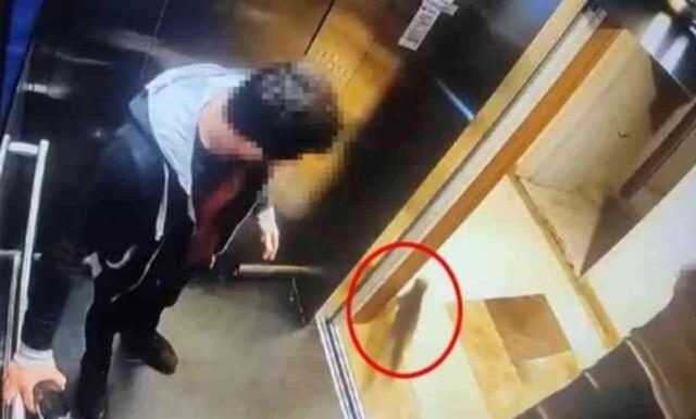 İbrahim Keloğlan ifadesinde ne söyledi? Kediyi neden öldürdü?