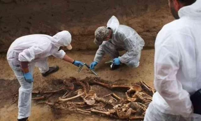 Polonya'da, Naziler tarafından iyileşme ümitleri olmadığı için öldürülen 100 psikiyatri hastasına ait toplu mezar bulundu