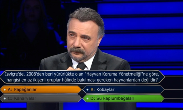 İsviçre'de, 2008'den beri yürürlükte olan 'Hayvan Koruma Yönetmeliği'ne göre, hangisi en az ikişerli gruplar hâlinde bakılması gereken hayvanlardan de