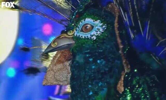 Maske Kimsin Sen Tavus Kuşu kimdir? Tavus Kuşu maskesinin altındaki ünlü açıklandı mı, tahminleri kim? Maske Kimsin Sen Tavus Kuşu gerçek ismi nedir?