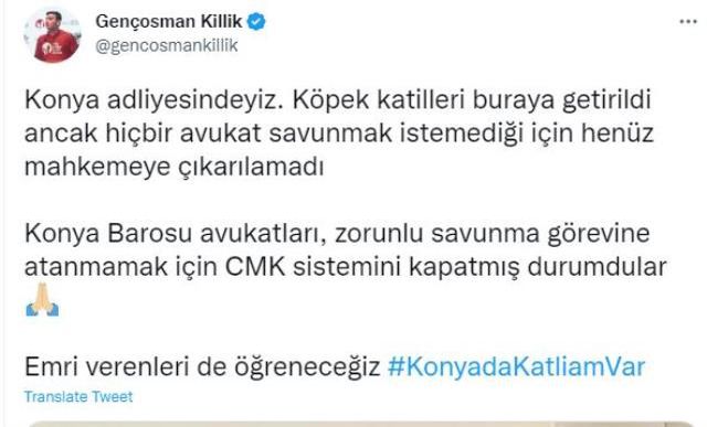 Konya'da köpekleri kürekle telef eden 2 kişi mahkemede kalakaldı! Hiçbir avukat savunmuyor