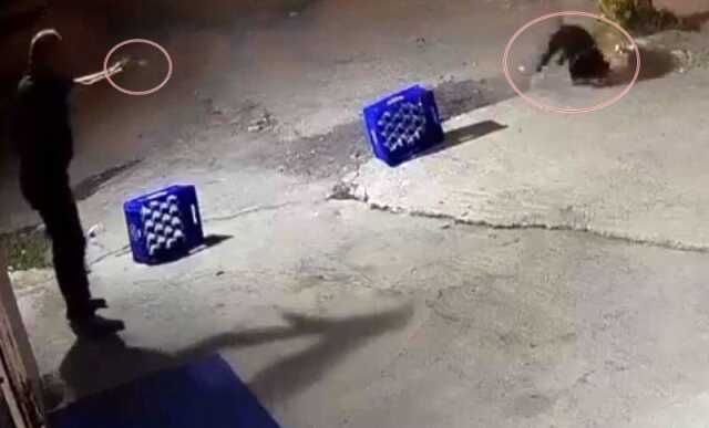 Ağaca bağlı köpeğe kurşun yağdırıldı, saldırı anı kamerada