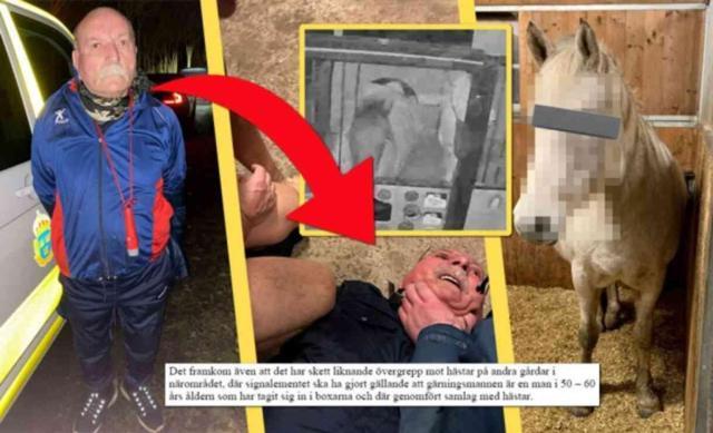 İsveç'te PKK üyesine cinsel istismar ve bıçaklı saldırı suçlarından hapis cezası