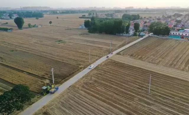 Çin'in Henan Eyaletinde Buğday Hasadı Tamamlanmak Üzere
