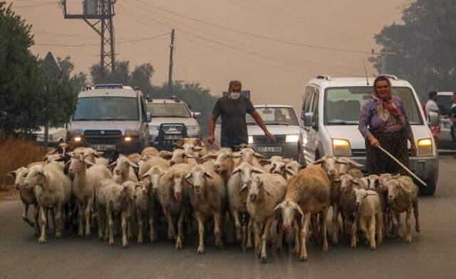 Son Dakika: Antalya'da dünden beri devam eden orman yangınlarında hayatını kaybedenlerin sayısı 3'e yükseldi