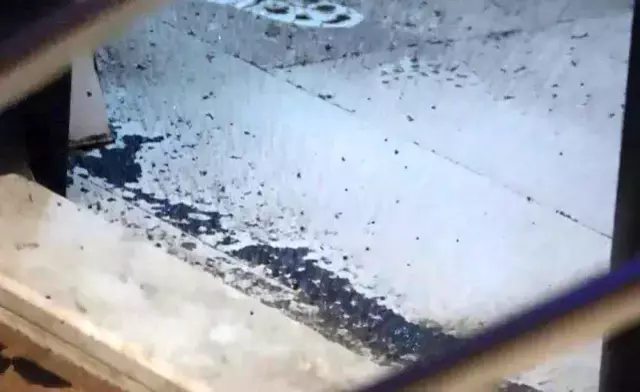 Pis kokular gelen daireye ceset bulmak için girdiler, gerçek başka çıktı