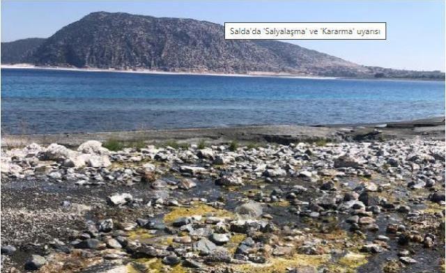 Salda'da 'Salyalaşma' ve 'Kararma' uyarısı