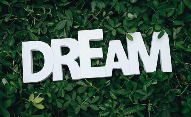 Rüyada savaş görmek ne anlama gelir? Rüyada savaşta olduğun görmek ne anlama geliyor? Rüyada savaşmak ne anlama gelir?