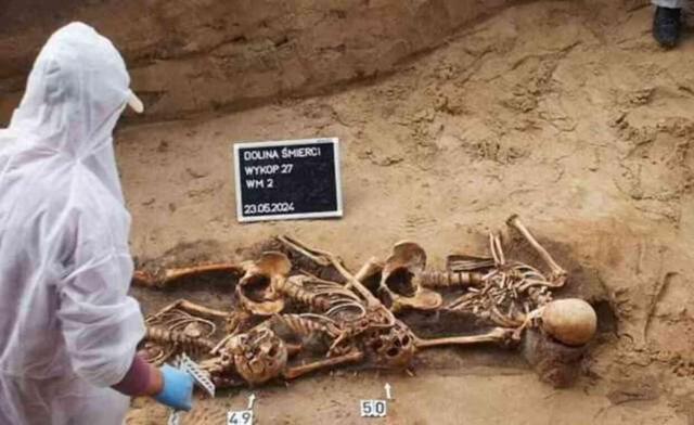 Polonya'da, Naziler tarafından iyileşme ümitleri olmadığı için öldürülen 100 psikiyatri hastasına ait toplu mezar bulundu