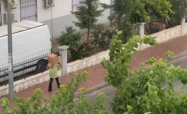 Ağaçlar devrildi, havalimanında uçuşlar durdu! Sağanak ve fırtınanın vurduğu Antalya'ya 15 dakika yetti