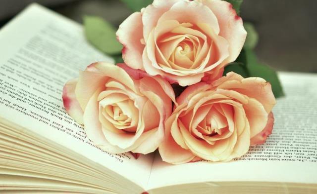 Güzel sözler, sevgiliye güzel sözler, güzel anlamlı sözler, güzel sözler kısa, güzel aşk sözleri, en güzel aşk sözleri,