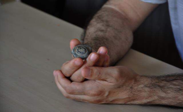 Türk arkeolog görür görmez değerini anladı! Yol kazısında 57 milyon yıllık fosil bulundu