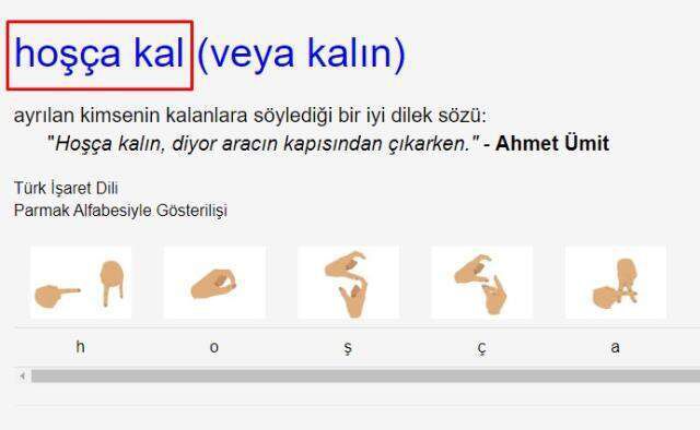 Hoşçakal nasıl yazılır? TDK'ya göre hoşçakal bitişik mi ayrı mı yazılır? Hoş çakal doğru yazılışı ne?
