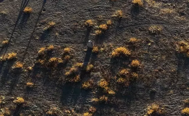 Yalnız mezarın sırrı çözüldü! Herkesin dışladığı Güllü Ayşa'nın dramı