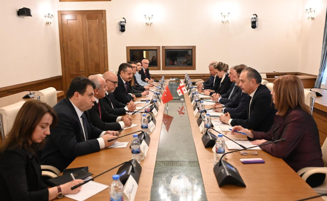 Türkiye–Gürcistan Dostluk Grubu Gürcistan'da resmi temaslarda bulundu