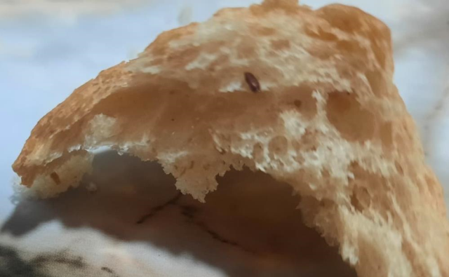 Bir Halk Ekmek skandalı daha! Ekmekten çıkanlar anneyi sütten kesti