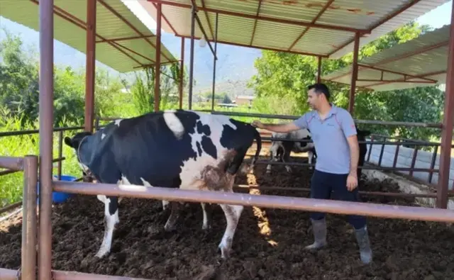 Korkulan oldu! Hastalığın yayıldığı şehrimizde 11 mahalle karantina altına alındı