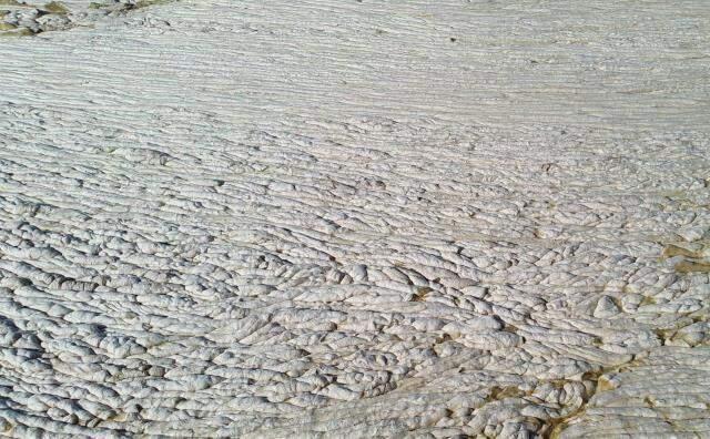 Müsilaj kabusu geri mi dönüyor? Kasım ayını işaret eden uzman isim uyardı: Marmara soğuyamıyor, tehlike kapıda