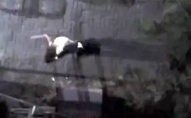 Avcılar'da gece saatlerinde ilginç olay! Kız çocuğu, elindeki sopayla takım elbiseli adamı kovaladı