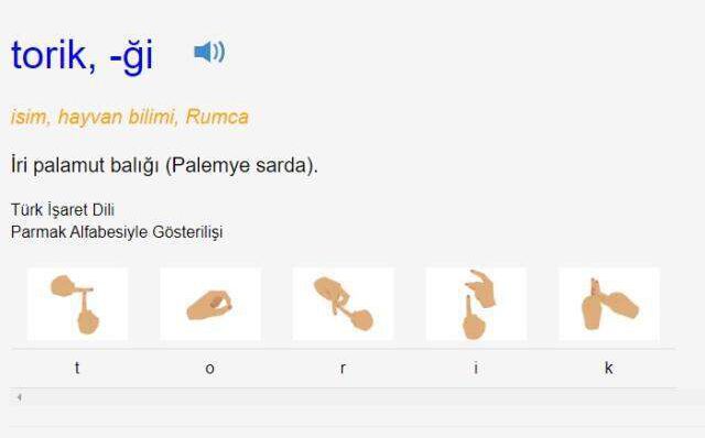 Torik ne demek? TDK'ya göre torik nedir, ne anlama geliyor? Torik kelimesinin anlamı nedir?